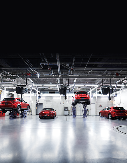 Mazda distribuidores cs v2 Mazda distribuidores cs v2